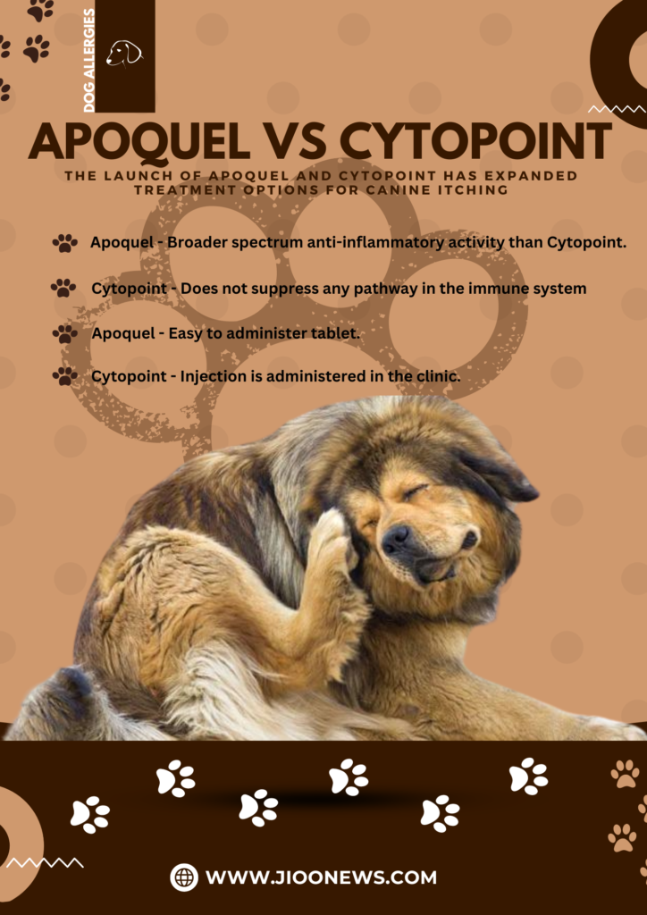 Apoquel vs Cytopoint