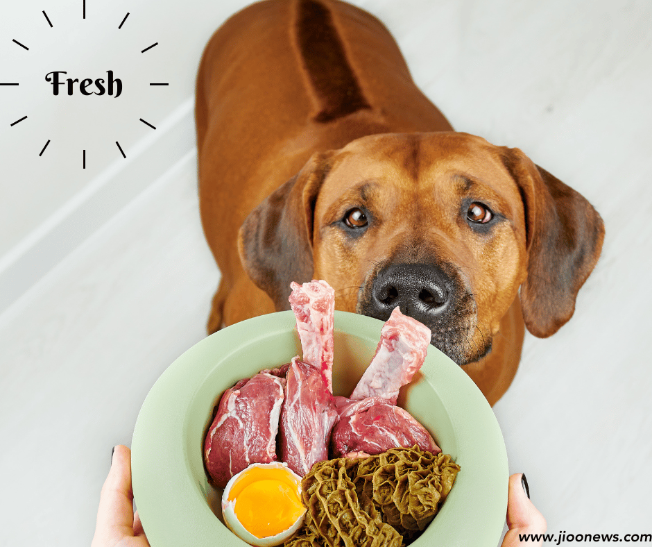 Homemade Natural Dog Food Recipe